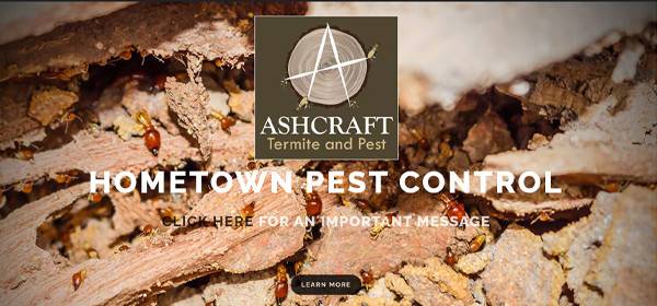 Ashcraft Termite and Pest, Fluvanna VA